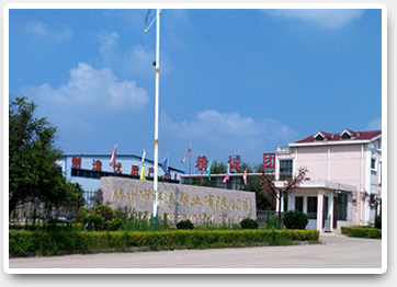 公司簡介